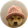 dogwifhat
